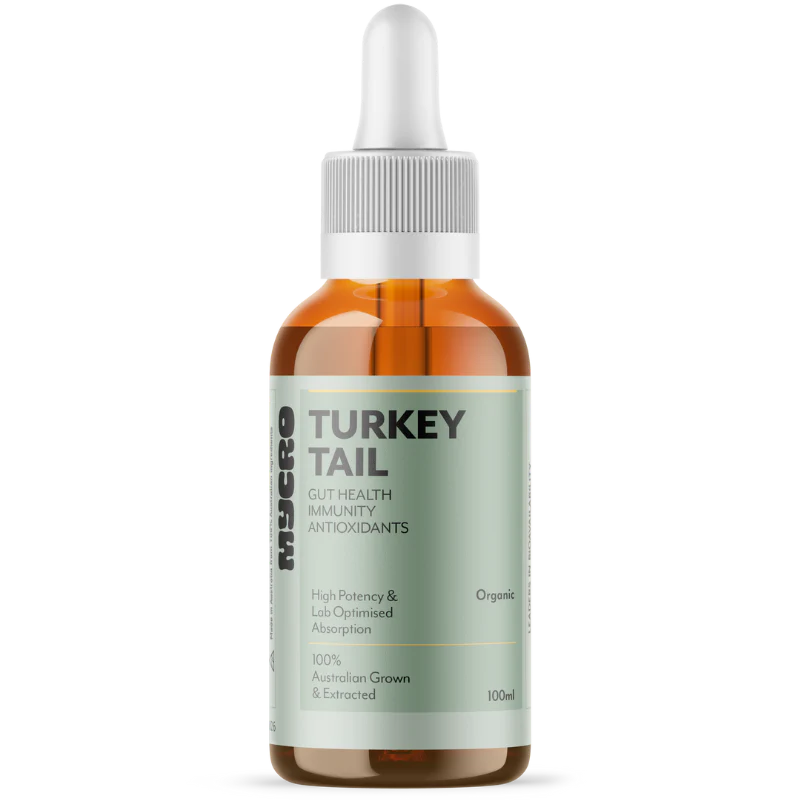 Turkey Tail - Mushroom Extract (30ml)